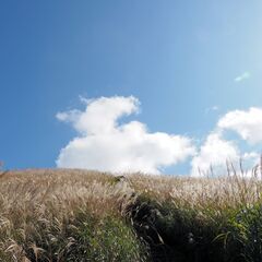 3/20(金) 	眺めを楽しむ岩湧山