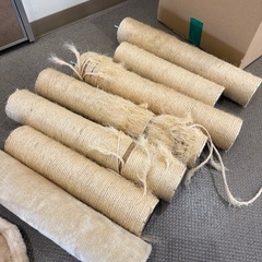 キャットタワーの画像