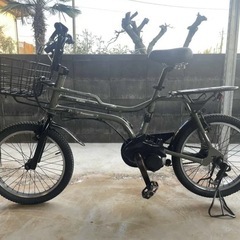 パナソニック Panasonic 小径タイプ電動アシスト自転車 EZ 20型 内装3段変速 マットナイト  の画像