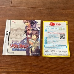 DS 隠し絵ミステリー リクとヨハン 消えた二つの絵の画像