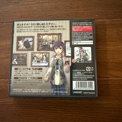 DS 隠し絵ミステリー リクとヨハン 消えた二つの絵の画像