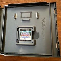 DS 隠し絵ミステリー リクとヨハン 消えた二つの絵の画像