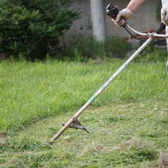 【急募！】草刈り伐採スタッフ募集中！福岡県の画像