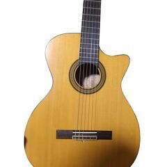 フラシックギター　エレアコ　ソフトケース付の画像