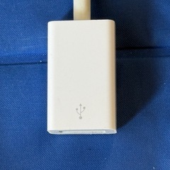 Apple 純正 A1632 USB-C - USBアダプタ ケーブル 2個(中古品)の画像