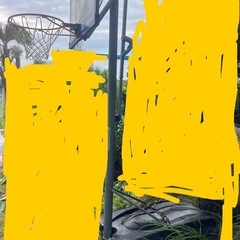 バスケリングの画像