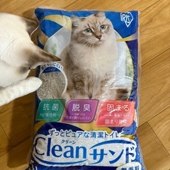 猫砂😼アイリスオーヤマ　4袋セットの画像