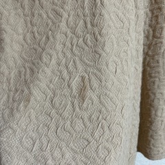 ベージュスカートの画像