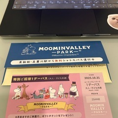 定価4300円ムーミンバレーパーク　入場チケットの画像