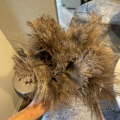 羽根のはたき　羽根モップの画像