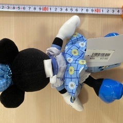 ミニーちゃんの画像