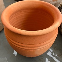 【受渡決定】鉢の画像