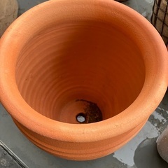【受渡決定】鉢の画像