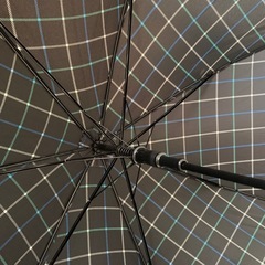 かさ　新品同様の画像