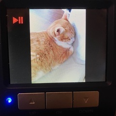 フィルムスキャナーの画像