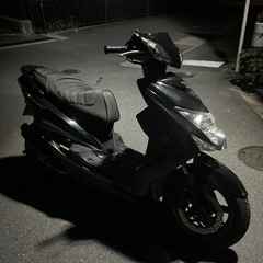 シグナス３型　　の画像