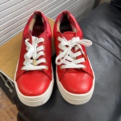 ⭕️美品⭕️ブルーレーベル　23cmの画像