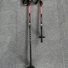 ダバダ トレッキングポールの画像