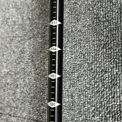 ダバダ トレッキングポールの画像