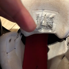 エアージョーダン　　レディースの画像