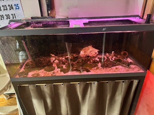 1200×550アクリルオバーフロー水槽
