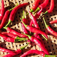 【香川本鷹】香り高くまあるい辛さ〇青トウガラシ〇赤トウガラシの画像