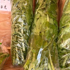 今日はきゅうりいっぱいあります　　朝取り立て野菜の画像