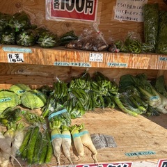 今日はきゅうりいっぱいあります　　朝取り立て野菜の画像
