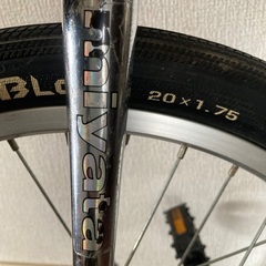 一輪車　競技用　ミヤタ　20インチの画像