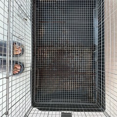 イージーホーム80ハイの画像