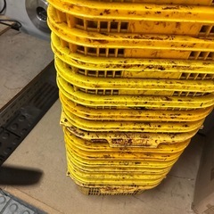 野菜コンテナ27個の画像