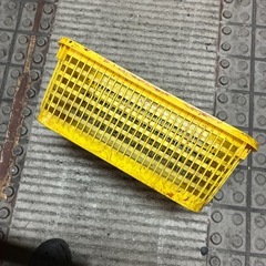 野菜コンテナ27個の画像