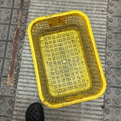 野菜コンテナ27個の画像