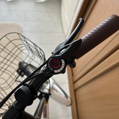 PROVROS 折りたたみ自転車 20インチ 自転車 シマノ 6段変速 ギア ミニベロ 折り畳み プロブロス P-206の画像