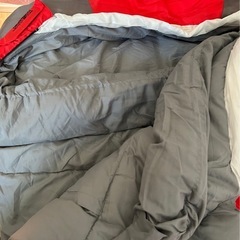 Coleman 寝袋 タスマンキャンピングマミーの画像