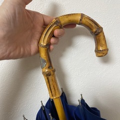 トラディショナルウエザーウエアの日傘の画像