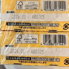 森永 ポケモンおっとっと コーンポタージュ味 2袋パック×10個の画像