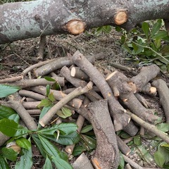 薪にいかがでしょう。無料ですの画像