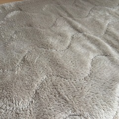 ニトリ置くだけ簡単敷きパッドNウォームスーパーの画像