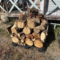 玉切り済み薪　引き取り限定　さしあげ差し上げますの画像