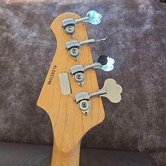 【LAKLAND】SkylineJapanSeriesSK-4DXの画像