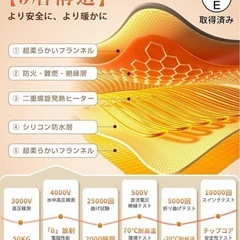 電気毛布 掛け敷き兼用 洗える 180×130cm ダブルサイズ 両面フランネルの画像