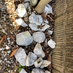 ロックガーデン　グレー30個程　石の画像