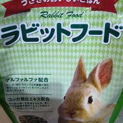 ウサギの餌　未使用の画像