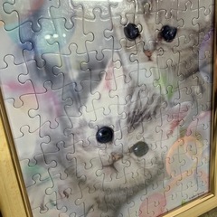 O2510-689 ねこのパズル 中古の画像