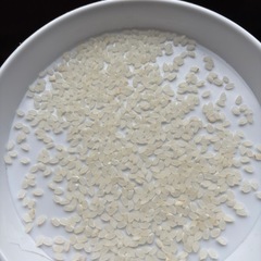 【11月２日(日)限定】7年産新潟コシヒカリ精米5kg（引取当日に精米します）の画像