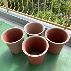 10号サイズ植木鉢の画像