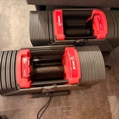 可変式ダンベル41kg ×2の画像