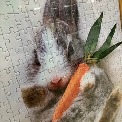 O2510-692 ウサギのパズル 中古の画像