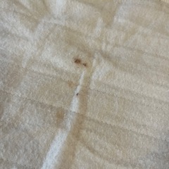 ニトリ NITORI ホットシート 75×170㎝ ブラウン ヒートパットの画像